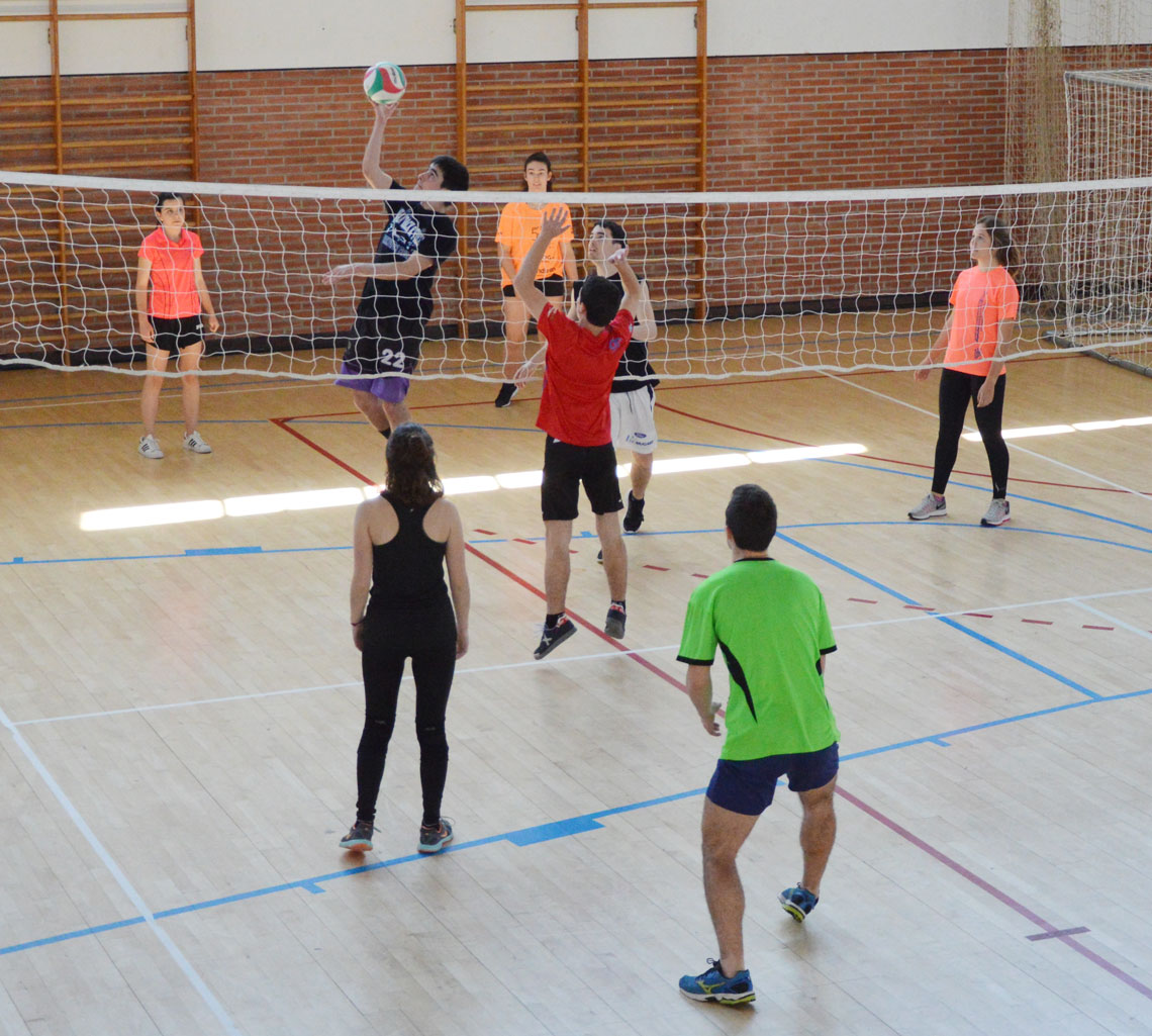 Volleyball Championship of Mondragon Unibertsitatea