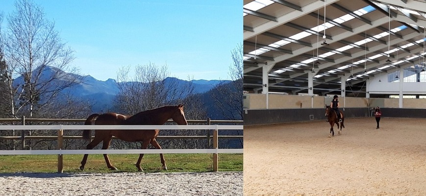 Horseback riding in Arrasate