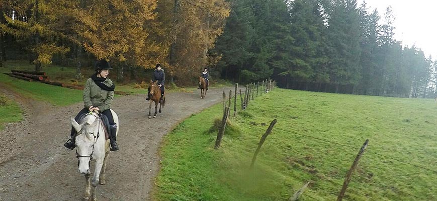 Horseback riding in Itsaso