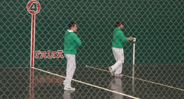 International championships and other tournaments